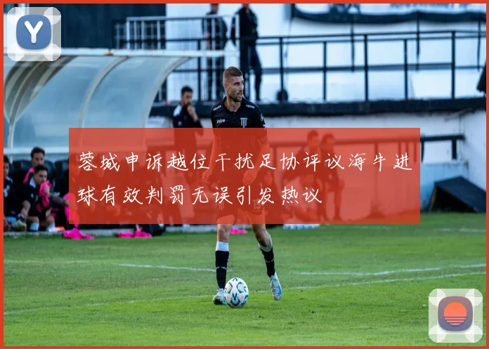 蓉城申诉越位干扰足协评议海牛进球有效判罚无误引发热议